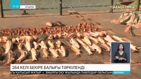 Атырауда браконьерлердің жолы кесілді