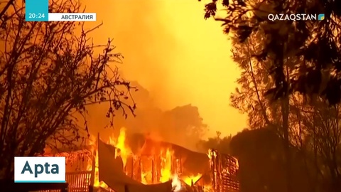 Австралиядағы өрттің себебі мен салдары