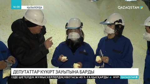 Мәжіліс депутаттары күкірт қышқылы зауытына барды