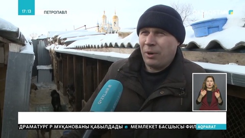 Петропавл қаласының тұрғыны 200-ден аса ит асырап отыр