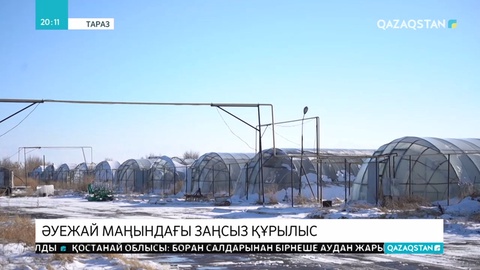 Тараздағы әуежайдың маңында заңсыз жұмыс істеген жылыжай анықталды