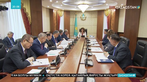 Мемлекеттік бағдарламаларды жүзеге асыру барысы бақылауда болуы тиіс- Д.Назарбаева