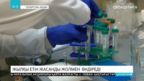 Ресей ғалымдары жылқының етін жасанды жолмен шығармақ