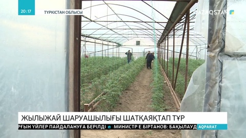 Түркістан облысында диқандар жылыжайларын сатуда