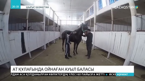 Қызылкесік ауылының кез келген баласы асауды ауыздықтай алады