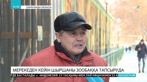 Табиғи шыршаларды хайуанаттар бағына тапсыруға болады