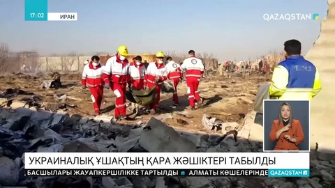 Украиналық ұшақтың қара жәшігі табылды