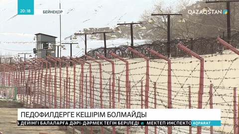 Педофилдерге қылмыстық жазаның күшеюіне қатысты мамандар пікір білдірді