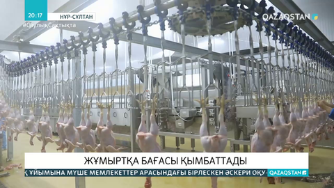 Құс тұмауы экономикаға әсер етеді