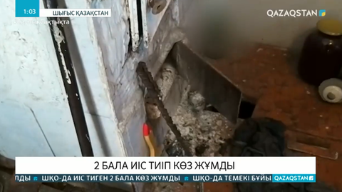 ШҚО-да 2 бала иіс тиіп көз жұмды