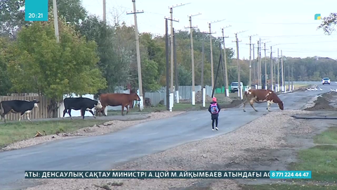Ауылдықтар жалақының аздығынан баспана ала алмай жүр