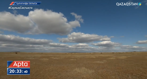Қарағанды облысында 2 мың гектар жайылым «сөзі бар да өзі жоқ» адамның қолына өтіп кеткен
