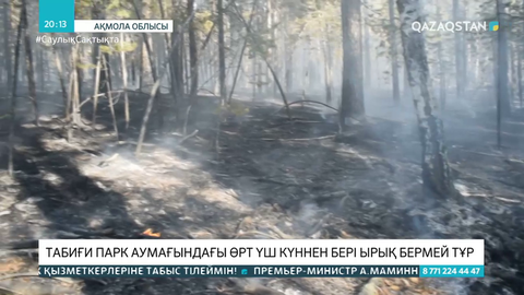 «Бурабай» табиғи паркі аумағындағы өрт 70 гектар жерді жалмады