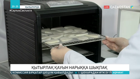 Қызылордалықтар қауыннан чипсы жасап жатыр