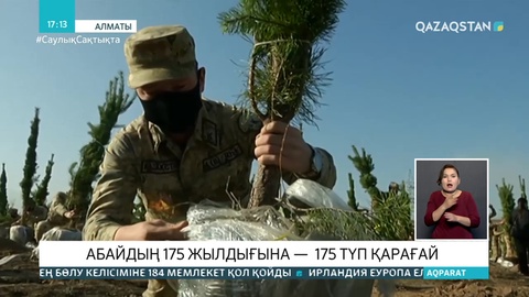 Алматыда Абай мерейтойына орай 175 түп қарағай отырғызылды