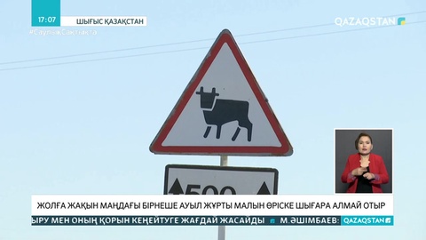 ШҚО-да жол бойындағы ауыл жұрты малын өріске шығара алмай отыр