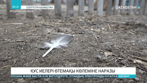 СҚО тұрғындары қырылған құстары үшін өтемақы ала алмай жүр