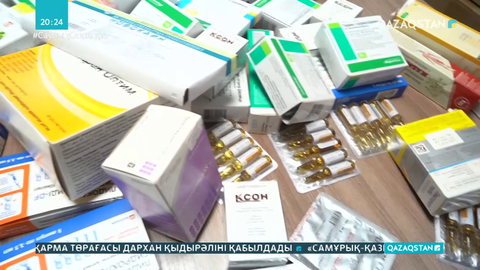 Қызылордада 10 мыңға жуық дәрі мемлекет пайдасына тәркіленді