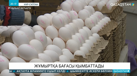 Құс тұмауы жұмыртқа бағасының қымбаттауына әсер етті