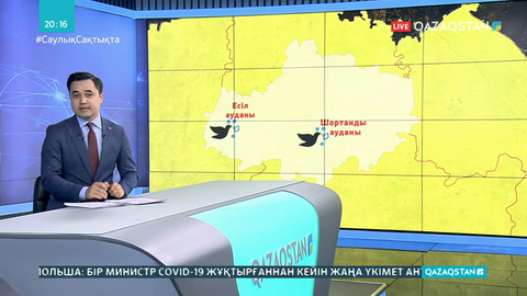 Ақмола облысындағы Шортанды және Есіл аудандарында 70-тен аса құс қырылды