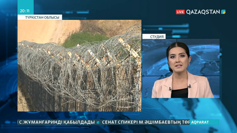 Сарыағаш ауданында өзбек азаматтарын шекарадан жасырын өткізгендер ұсталды