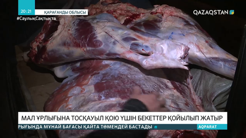 Қарағанды облысында мал ұрлығына тосқауыл қою үшін бекеттер қойылып жатыр