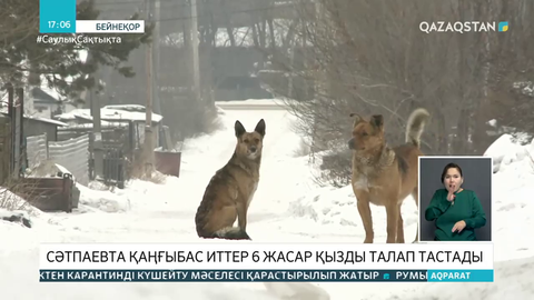 Сәтбаевта 6 жасар қызды иттер талап өлтірді