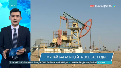 Мұнай бағасы қайта өсе бастады