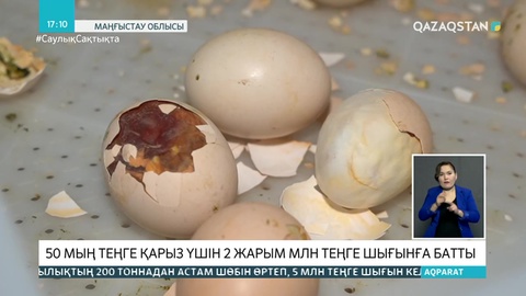 Маңғыстаудағы құс фермасы 50 мың теңге қарызы үшін қыруар шығынға батты