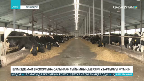 Мал экспортына салынған тыйымның мерзімі ұзартылуы мүмкін