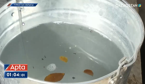 Екі ауылдың 6 мыңдай тұрғыны ауыз суды арықтан ішіп келеді