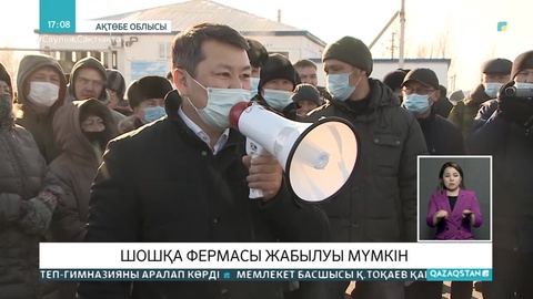 Ақтөбедегі шошқа фермасы жабылуы мүмкін
