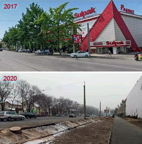 Тоқаев Алматыда 9 емен мен 4 қарағашты аралағандарды жазаға тарту керек дейді