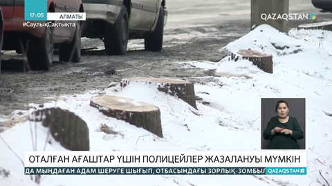 Алматыдағы кесілген ағаштар үшін полицейлер жазалануы мүмкін