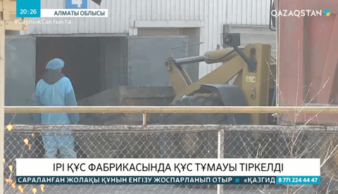 Алматы облысында құс тұмауы тіркелді