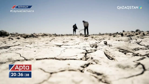 Арал теңізінің тартылуына су қоймаларының каскады себеп болған