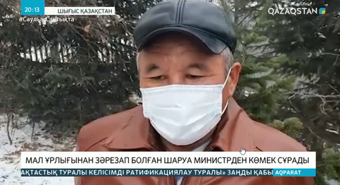 150 қойынан айырылған шаруа Тұрғымбаевтан көмек сұрады