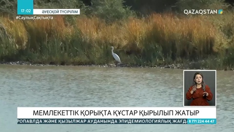 «Ақжайық» резерватында құстар қырылып жатыр