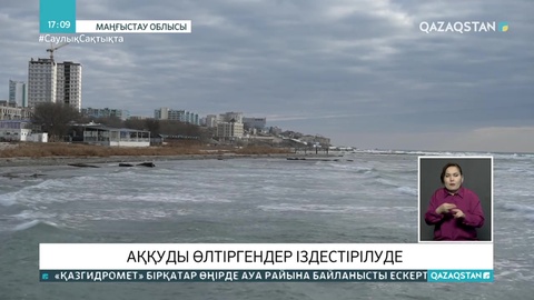 Ақтауда аққуды қатыгездікпен өлтіргендер іздестіріліп жатыр