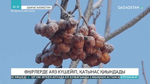 Өңірлерде аяз күшейіп, қатынас қиындады