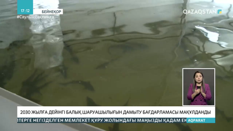 2030 жылға дейінгі балық шаруашылығын дамыту бағдарламасы мақұлданды