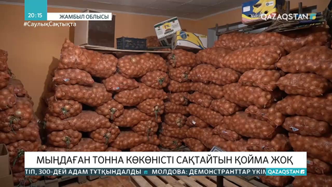 Жамбыл облысында мыңдаған тонна көкөністі сақтайтын қойма жоқ