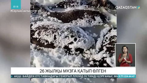 Павлодарда бір үйір жылқы мұзға батып өлген