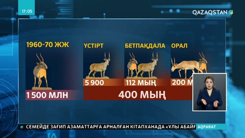 Киік атуға жарияланған мораторий 3 жылға ұзартылды