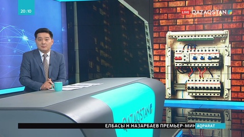 Д.Назарбаева энергетика саласын басқарудағы қателіктерді сынға алды