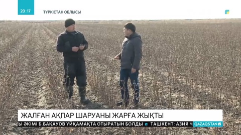 Шардара ауданындағы мақташылар субсидия ала алмай жүр