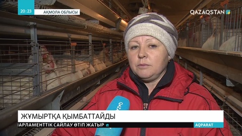 Жұмыртқа 40 пайызға қымбаттауы мүмкін