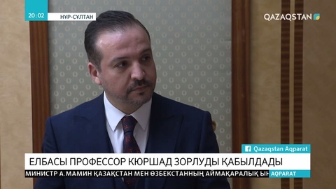 Елбасы түрік политологы К.Зорлумен кездесті