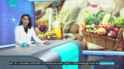 Президент Премьер-Министр А.Маминді қабылдады