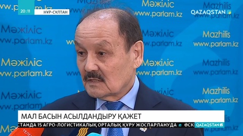 Депутаттар шет елден мал сатып алуға қарсы